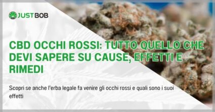 CBD occhi rossi: tutto quello che devi sapere su cause, effetti e rimedi