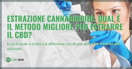 Estrazione cannabinoidi: approfondimento.