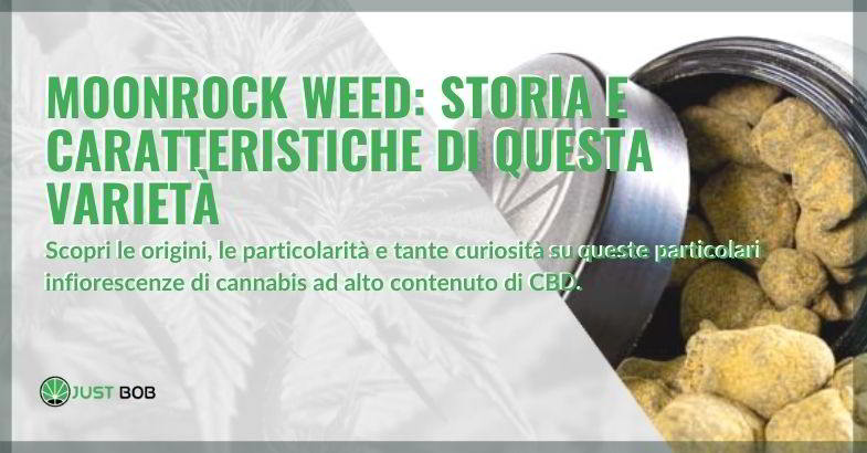 Alla scoperta di moon rock weed