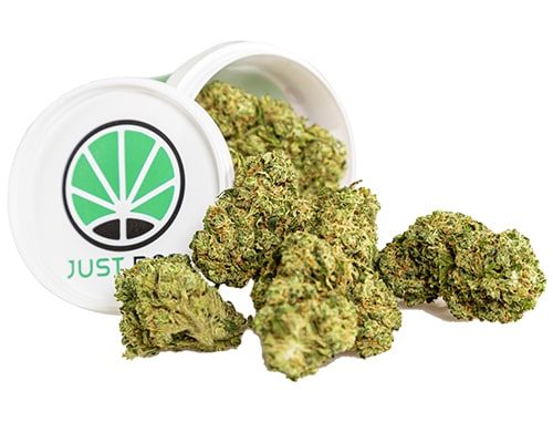 Barattolo di Royal GG#4 di cannabis light