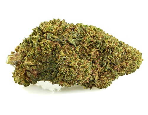 GG#4-cbd-boost-cannabis-light