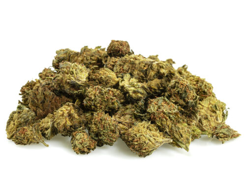 GG4 cbd boost small buds di cannabis light