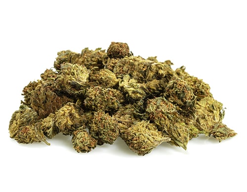 GG#4-cbd-boost-small-buds-di-cannabis-light