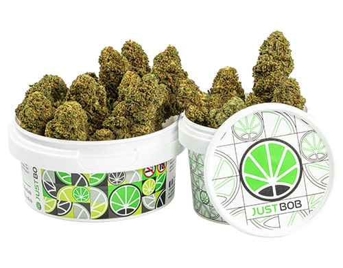 barattolo-cime-GG#4-cbd-boost-cannabis-light