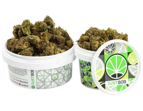barattolo con cime piccole di GG4 cbd boost cannabis light