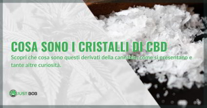 Cristalli di CBD: che cosa sono