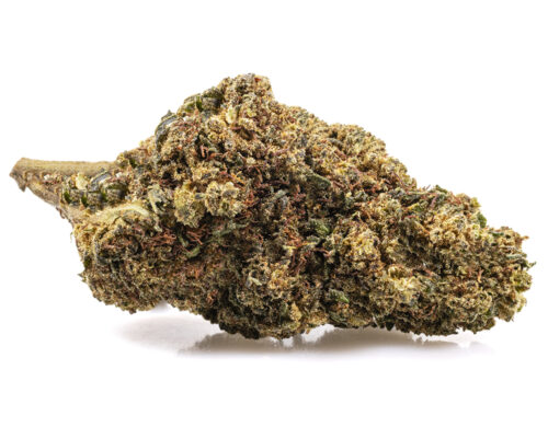 gg4 cbd boost cannabis light