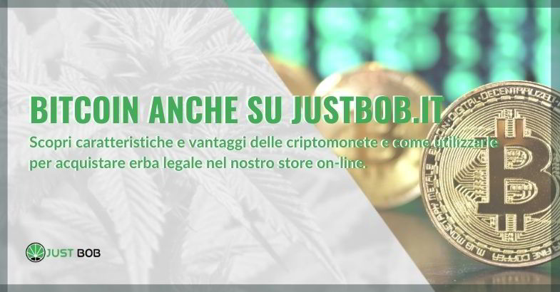 Bitcoin e canapa legale su Just Bob
