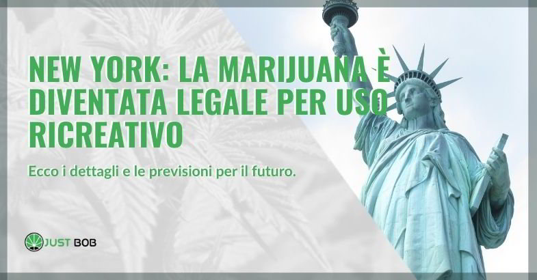 New York marijuana legalizzata dalla maggioranza.