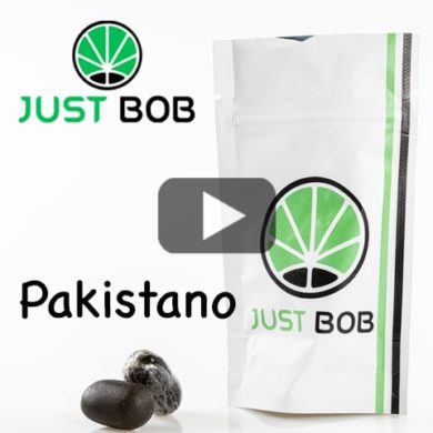 Hashish-cbd-pakistano