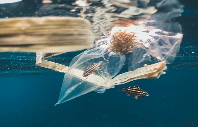 plastica chimica che inquina l'ambiente, da sostituire con quella di canapa