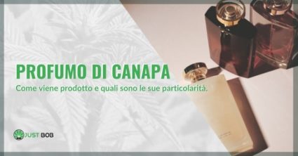 profumo di canapa