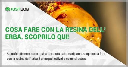 Cosa fare con la resina dell' erba