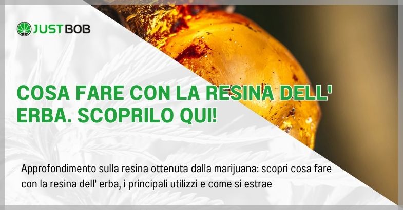 Cosa fare con la resina dell' erba