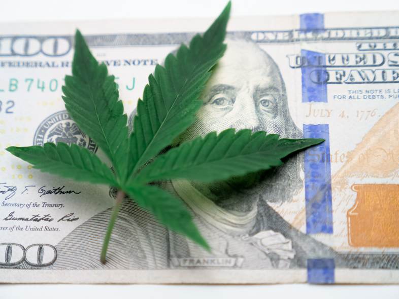 La legalizzazione della cannabis porterebbe maggiore gettito fiscale