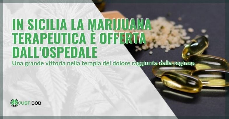 In Sicilia per la terapia del dolore, gli ospedali offrono la marijuana terapeutica.