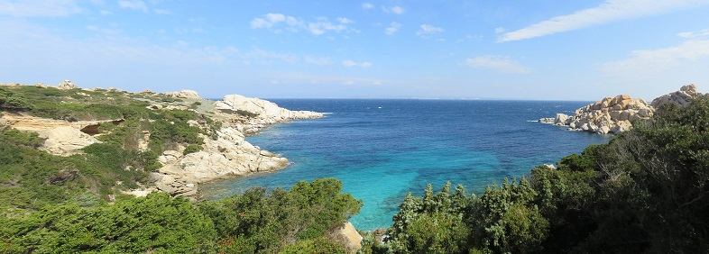 Le condizioni pedoclimatiche della Sardegna sono ideali per la coltivazione della canapa