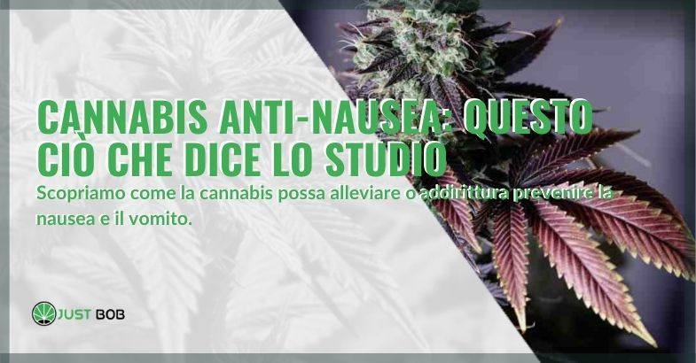 La cannabis sembra possa aiutare contro la nausea e il vomito.