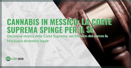 La corte suprema in Messico dice si alla marijuana legale