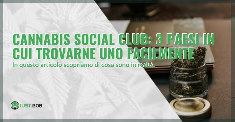 Che cosa sono i Cannabis social club e dove trovarne uno.