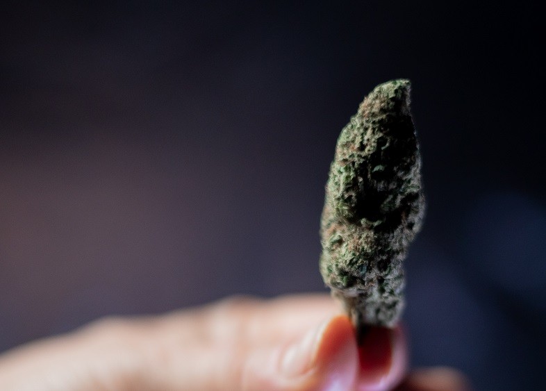 Le differenze riguardo gli effetti psicotropi provocati dai cannabinoidi