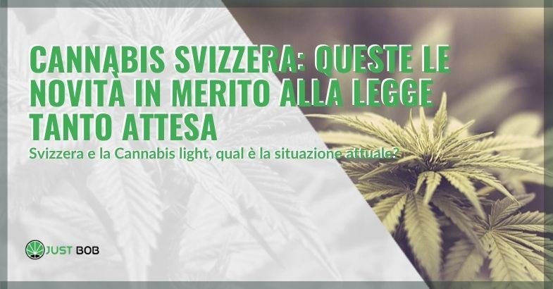 Vediamo qual è la situazione attuale in Svizzera riguardo la cannabis