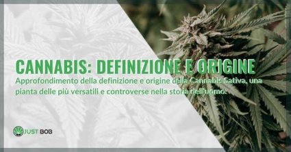 Approfondimento della definizione e origine della Cannabis Sativa