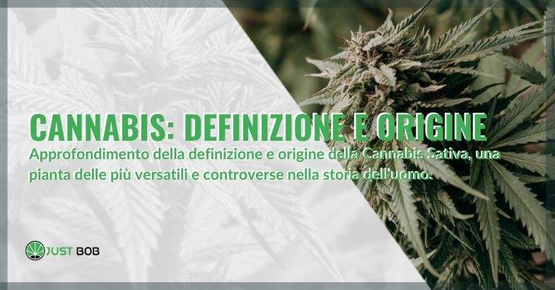 Approfondimento della definizione e origine della Cannabis Sativa