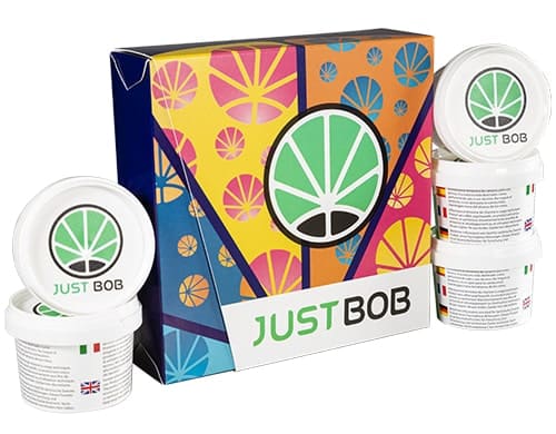 Kit Back2Work con 17g di infiorescenze di cannabis light