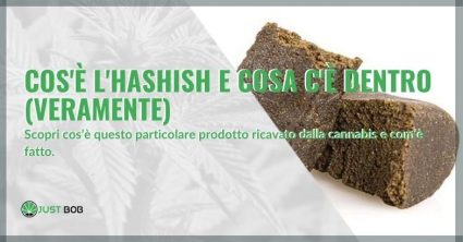 che cos'è l'hashish