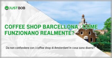 coffee-shop-barcellona Coffee shop Barcellona : come funzionano realmente?