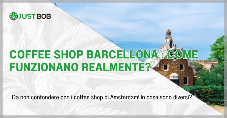 Coffee shop Barcellona : come funzionano realmente?