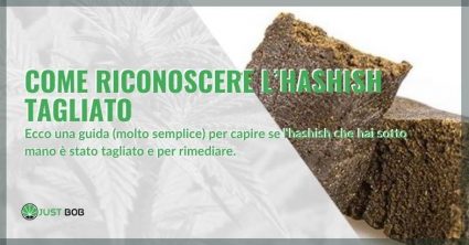 come riconoscere l'hashish tagliato con un metodo infallibile