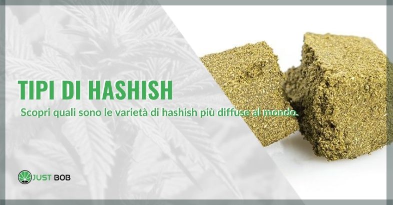 tipi di hashish