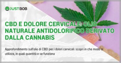 CBD e dolore cervicale: olio naturale antidolorifico derivato dalla cannabis