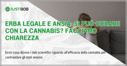 Erba legale e ansia: si può curare con la cannabis?