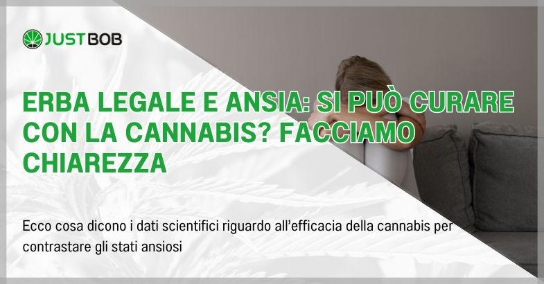 Erba legale e ansia: si può curare con la cannabis?