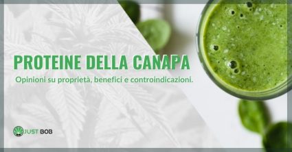 proteine della canapa opinioni