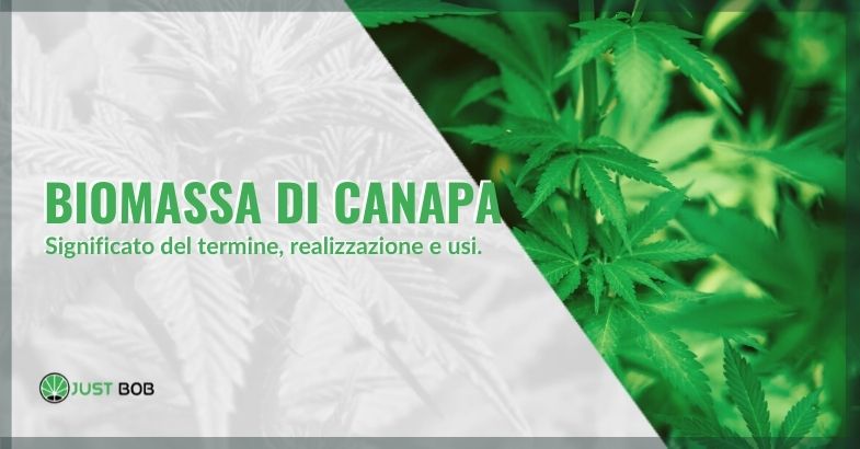 biomassa di canapa significato