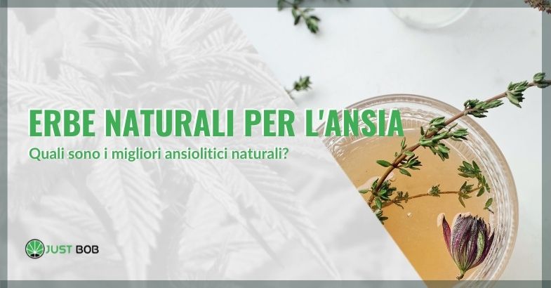 erbe naturali per l'ansia