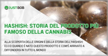 Hashish: storia del prodotto più famoso della cannabis