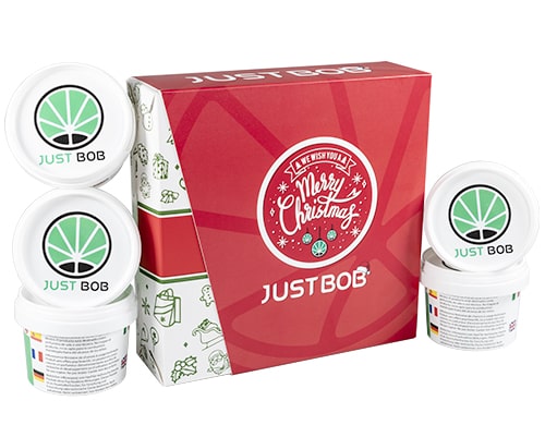 KIT Natale Gold