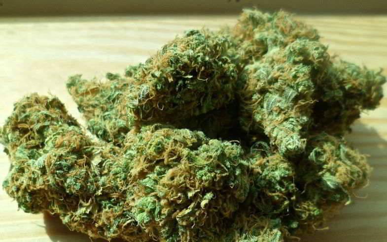 buds di marijuana