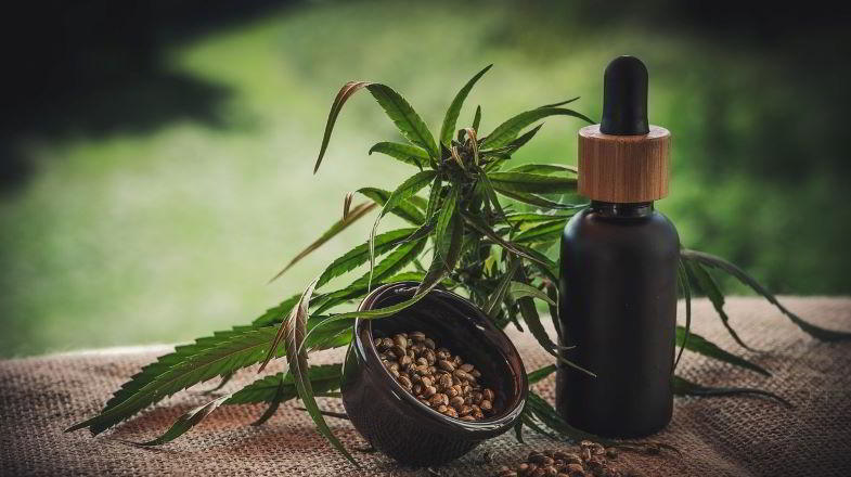 cannabis e olio al CBD