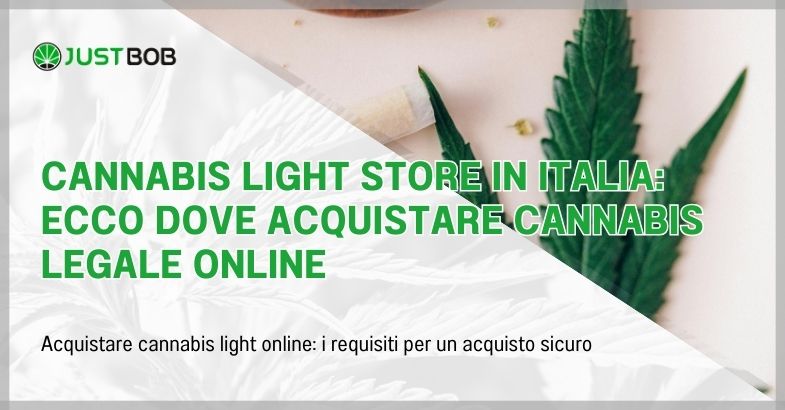 Cannabis light store in Italia: ecco dove acquistare
