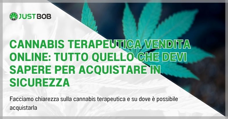 Cannabis terapeutica vendita online: tutto quello che devi sapere