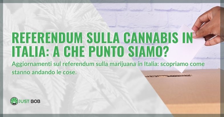 referendum cannabis in Italia