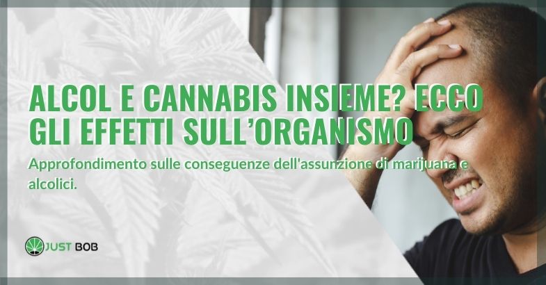 alcol e cannabis insieme effetti