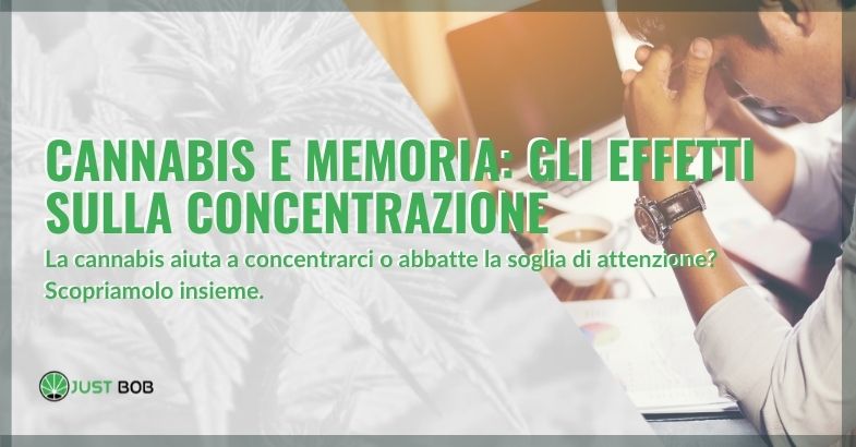 cannabis e memoria: effetti