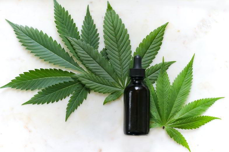 foglie di cannabis e olio